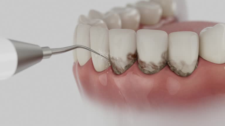 Reliable Dental contractor in Bonneau Beach, SC by Dentist Open Now
